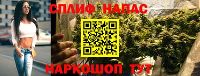 индика Ливны